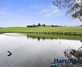 Rural / Farming commercial property sold at 91 Mountain View McDonalds Track Mountain View VIC 3988