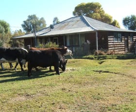 Rural / Farming commercial property sold at Koraleigh NSW 2735 Rural / Farming commercial property sold at Koraleigh NSW 2735