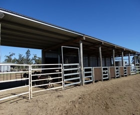 Rural / Farming commercial property sold at 1257 Acres - Lot 4 Ryalls Road Miles QLD 4415