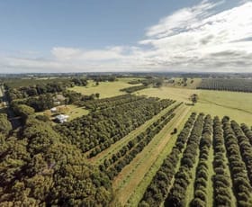 Rural / Farming commercial property sold at 250 Dalwood Road Dalwood NSW 2477
