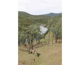 Rural / Farming commercial property sold at 2339 Rivertree Road Rivertree Via Stanthorpe QLD 4380 Rural / Farming commercial property sold at 2339 Rivertree Road Rivertree Via Stanthorpe QLD 4380