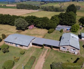 Rural / Farming commercial property sold at 229 Bonneys Road West Pine TAS 7316