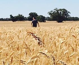 Rural / Farming commercial property sold at West Wyalong NSW 2671