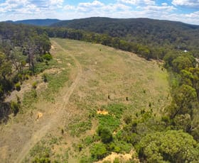 Rural / Farming commercial property sold at 65 Drapers Creek Road Colo Vale NSW 2575