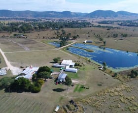 Rural / Farming commercial property sold at 243 Harvey Road Lower Wonga QLD 4570