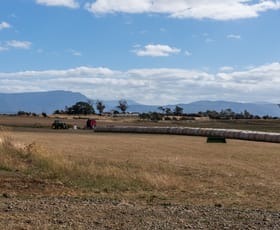 Rural / Farming commercial property sold at 1469 Bishopsbourne Road Toiberry TAS 7301