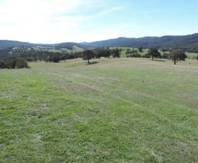 Rural / Farming commercial property sold at 671 Bridge Creek Road Binda NSW 2583