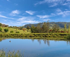 Rural / Farming commercial property sold at 1295 Bingleburra Road Gresford NSW 2311