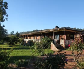 Rural / Farming commercial property sold at 97 Woolomin Gap Road Woolomin NSW 2340