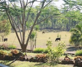 Rural / Farming commercial property sold at 486 Cross Road Euleilah QLD 4674 Rural / Farming commercial property sold at 486 Cross Road Euleilah QLD 4674