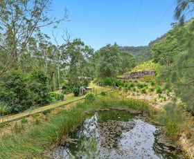 Rural / Farming commercial property sold at 128  Mangrove Creek Road Greengrove NSW 2250