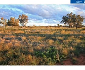 Rural / Farming commercial property sold at Condobolin NSW 2877