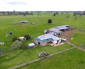 Rural / Farming commercial property sold at 839 Wimmera Highway Edenhope VIC 3318