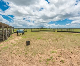 Rural / Farming commercial property sold at 266 Ruths Road South Kolan QLD 4670