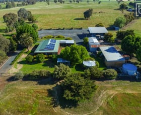Rural / Farming commercial property sold at 1139 Gerogery Road Gerogery NSW 2642