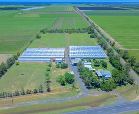 Rural / Farming commercial property sold at 4248 Goodwood Road Alloway QLD 4670