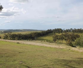 Rural / Farming commercial property sold at 975 Killarney Barlows Gate Rd Elbow Valley QLD 4370