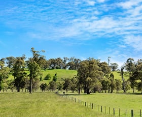Rural / Farming commercial property sold at 5910 Illawarra Highway Avoca NSW 2577