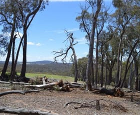 Rural / Farming commercial property sold at 2033 Mayfield Road Mayfield NSW 2580