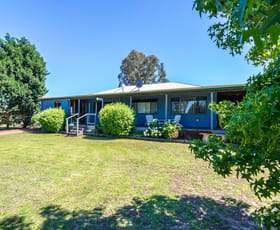 Rural / Farming commercial property sold at 1277 Spring Creek Road Mudgee NSW 2850