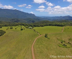 Rural / Farming commercial property sold at Butchers Creek QLD 4885
