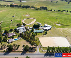 Rural / Farming commercial property sold at 565 Plains Road Hoskinstown NSW 2621