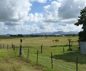 Rural / Farming commercial property sold at 163 DEGILBO MINES ROAD Degilbo QLD 4621
