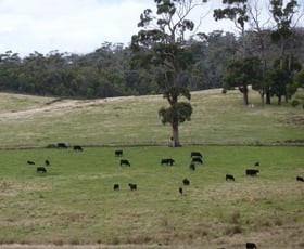 Rural / Farming commercial property sold at Boundary Farm/ Pipers Brook Road Pipers Brook TAS 7254