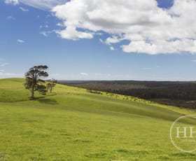 Rural / Farming commercial property sold at 73 Mackenzies Road Pipers Brook TAS 7254