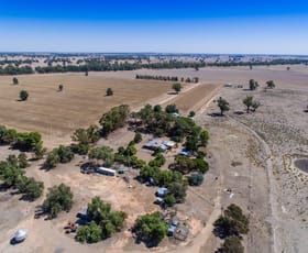 Rural / Farming commercial property sold at 1060 Hopefield Road Hopefield NSW 2646