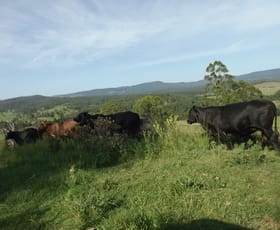 Rural / Farming commercial property sold at 2914 Sextonville Rd Woolners Arm NSW 2470