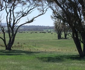 Rural / Farming commercial property sold at Neville NSW 2799
