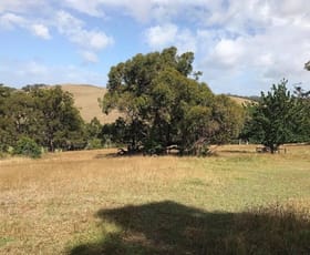 Rural / Farming commercial property sold at Lot 51c/140 Bolgers Road. Devon North VIC 3971