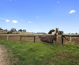 Rural / Farming commercial property sold at 149 West Nook Road Sheffield TAS 7306