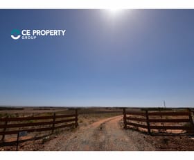 Rural / Farming commercial property sold at 100 Magpie Crescent Mannum SA 5238