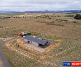 Rural / Farming commercial property sold at 36 Rossi Road Rossi NSW 2621