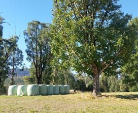 Rural / Farming commercial property sold at 990 Maroondah Highway Narbethong VIC 3778