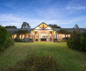 Rural / Farming commercial property sold at 79 Beatty Lane Yackandandah VIC 3749