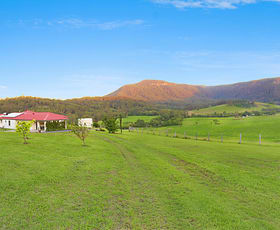 Rural / Farming commercial property sold at 481 Sandy Creek Road Mount Vincent NSW 2323