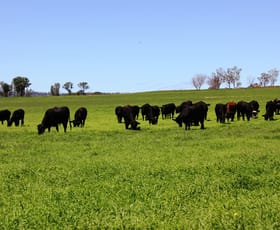 Rural / Farming commercial property sold at 492 Kemps Rd Warialda NSW 2402