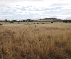Rural / Farming commercial property sold at 198 ACRES MOOLA SCRUB COUNTRY Dalby QLD 4405