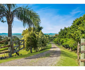 Rural / Farming commercial property sold at 305 Brandenburg Road Mooloolah Valley QLD 4553