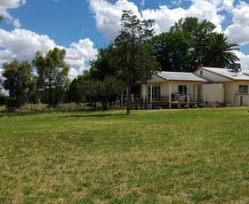 Rural / Farming commercial property sold at 1748 MOLLYAN ROAD Mendooran NSW 2842