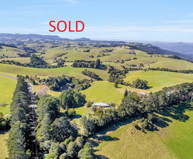 Rural / Farming commercial property sold at 5265 WATERFALL WAY Dorrigo NSW 2453