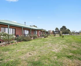 Rural / Farming commercial property sold at 583 Lacys Road Ross Creek VIC 3351
