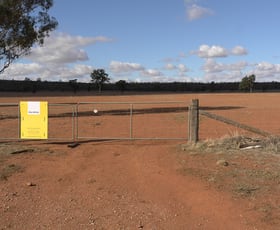 Rural / Farming commercial property sold at Barellan Road Narrandera NSW 2700