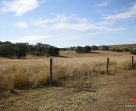 Rural / Farming commercial property sold at 534 Basin Road Abbeywood QLD 4613