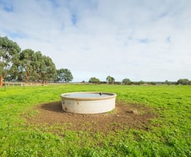 Rural / Farming commercial property sold at 1690 Ellerslie-Panmure Road Panmure VIC 3265