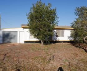 Rural / Farming commercial property sold at 98 Cassia Road Leeton NSW 2705