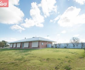 Rural / Farming commercial property sold at 1410 Spring Drive Corowa NSW 2646